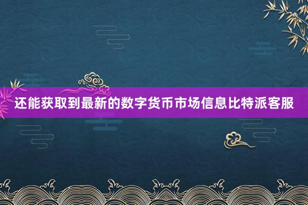 还能获取到最新的数字货币市场信息比特派客服