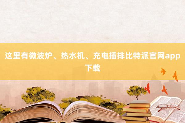 这里有微波炉、热水机、充电插排比特派官网app下载