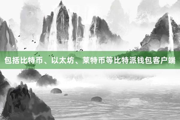 包括比特币、以太坊、莱特币等比特派钱包客户端