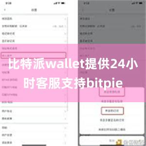 比特派wallet提供24小时客服支持bitpie