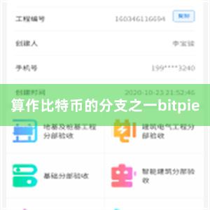 算作比特币的分支之一bitpie